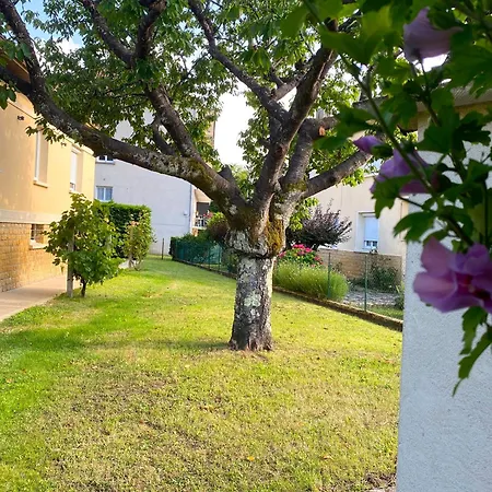 T3 Rénové, Jardin Parking&garage Privé, Proche Centre *