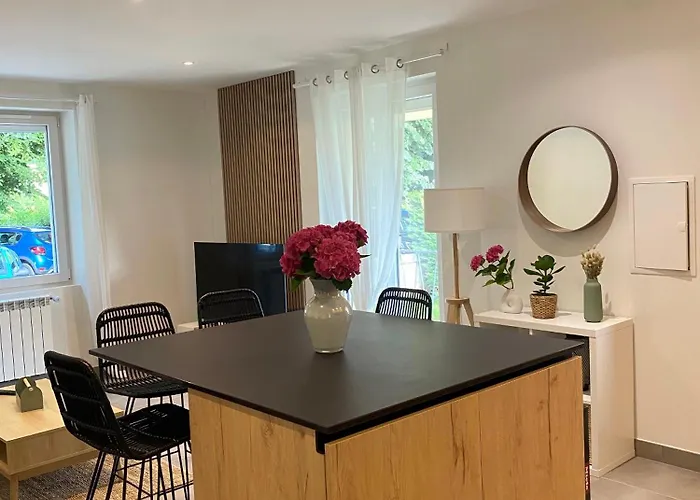 T3 Rénové, Jardin Parking&garage Privé, Proche Centre *